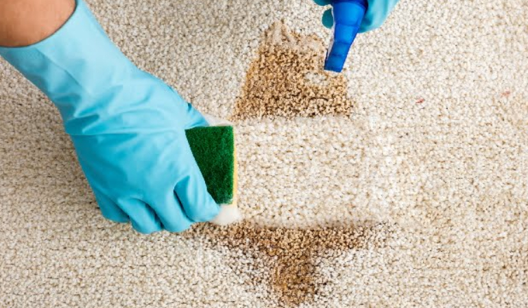 Çay Lekesi Çıkarma