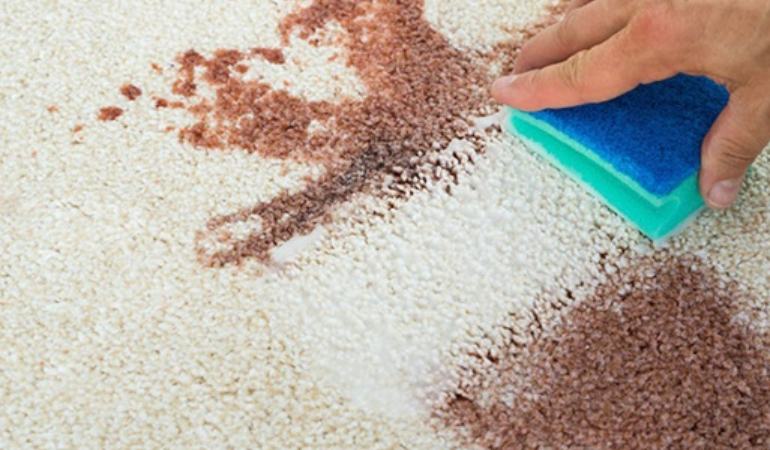 Kan Lekesi Çıkarma